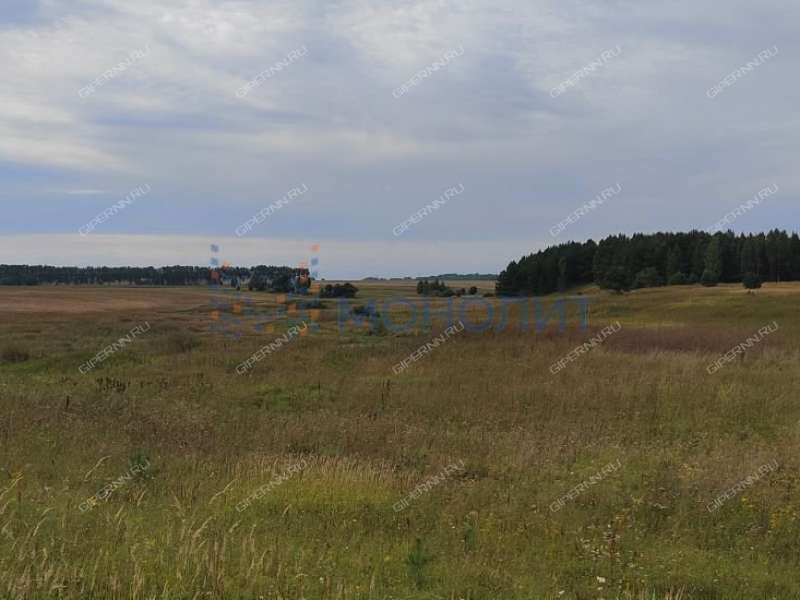 земельный участок 1 090 соток - деревня Ионовка